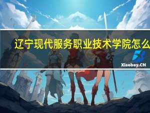 辽宁现代服务职业技术学院怎么样