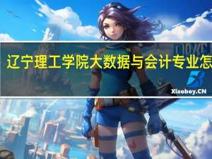 辽宁理工学院大数据与会计专业怎么样