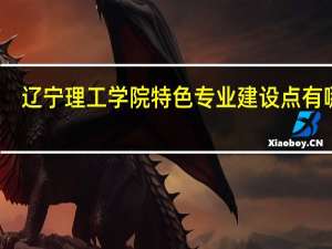 辽宁理工学院特色专业建设点有哪些