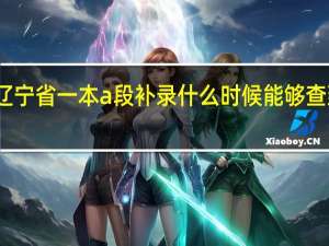 辽宁省一本a段补录什么时候能够查到结果