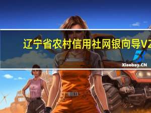 辽宁省农村信用社网银向导 V2.0 官方版（辽宁省农村信用社网银向导 V2.0 官方版功能简介）