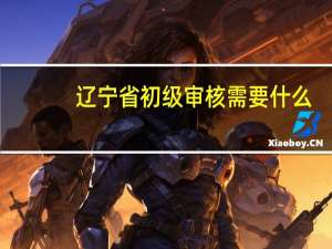 辽宁省初级审核需要什么