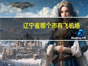 辽宁省哪个市有飞机场