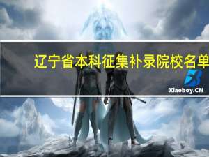 辽宁省本科征集补录院校名单