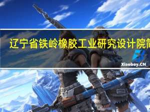 辽宁省铁岭橡胶工业研究设计院简介