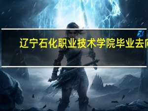 辽宁石化职业技术学院毕业去向