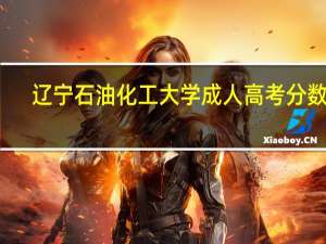辽宁石油化工大学成人高考分数线