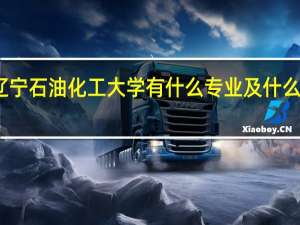 辽宁石油化工大学有什么专业及什么专业好