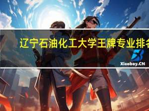 辽宁石油化工大学王牌专业排名
