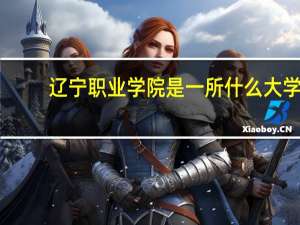 辽宁职业学院是一所什么大学