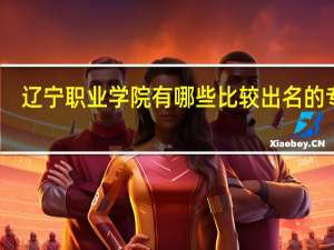 辽宁职业学院有哪些比较出名的专业