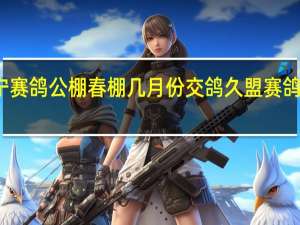 辽宁赛鸽公棚春棚几月份交鸽 久盟赛鸽公棚春棚