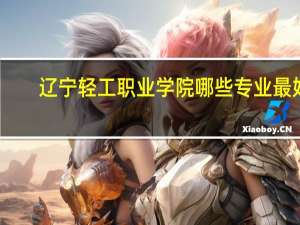 辽宁轻工职业学院哪些专业最好