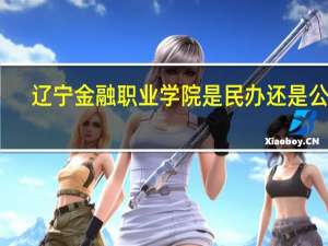 辽宁金融职业学院是民办还是公办