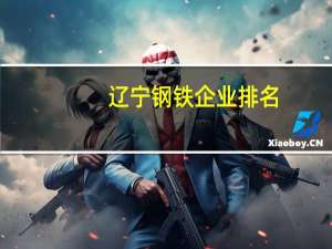 辽宁钢铁企业排名