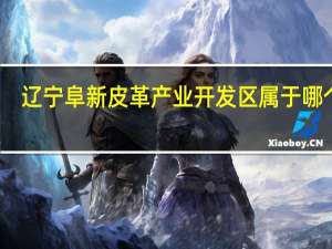 辽宁阜新皮革产业开发区属于哪个区