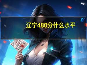 辽宁480分什么水平