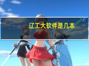 辽工大软件是几本