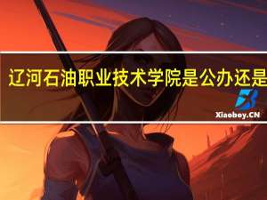 辽河石油职业技术学院是公办还是民办