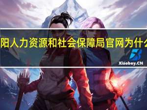 辽阳人力资源和社会保障局官网为什么上不了