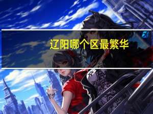 辽阳哪个区最繁华