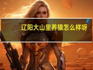 辽阳大山里养猫怎么样呀