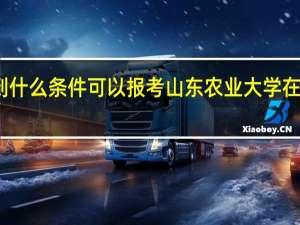达到什么条件可以报考山东农业大学在职研究生