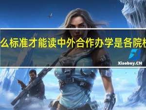 达到什么标准才能读中外合作办学是各院校来定义的吗