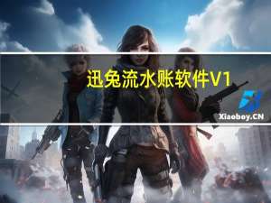 迅兔流水账软件 V1.0 官方版（迅兔流水账软件 V1.0 官方版功能简介）