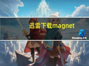 迅雷下载magnet（哈利波特与魔法石迅雷下载magnet）