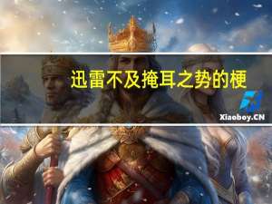 迅雷不及掩耳之势的梗（迅雷不及掩耳之势）