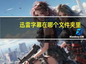 迅雷字幕在哪个文件夹里