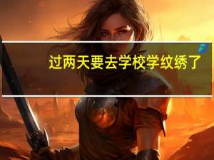 过两天要去学校学纹绣了，对于一个初学者要买些什么