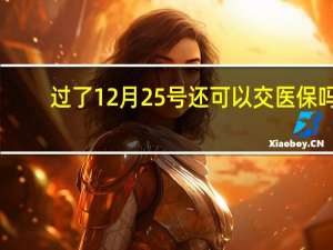 过了12月25号还可以交医保吗