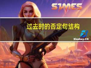 过去时的否定句结构