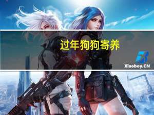 过年狗狗寄养