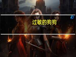 过敏的狗狗