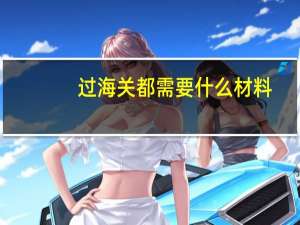 过海关都需要什么材料