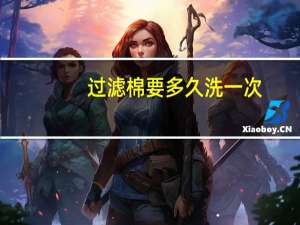过滤棉要多久洗一次