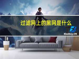 过滤网上的黑网是什么（黑网是什么）