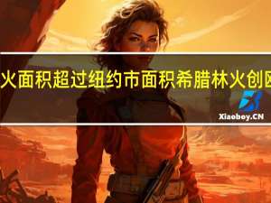 过火面积超过纽约市面积 希腊林火创欧盟纪录