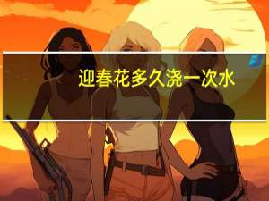 迎春花多久浇一次水