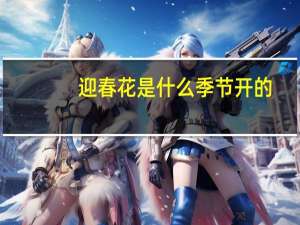 迎春花是什么季节开的