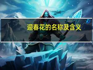 迎春花的名称及含义