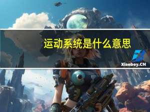 运动系统是什么意思