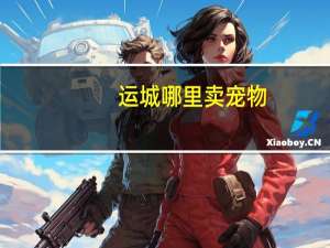 运城哪里卖宠物