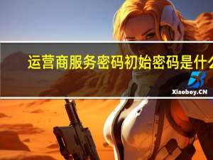 运营商服务密码初始密码是什么（运营商服务密码）