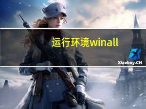 运行环境winall（winall是什么系统）