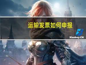 运输发票如何申报