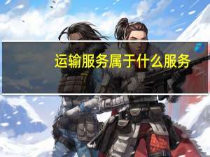 运输服务属于什么服务（运输服务）